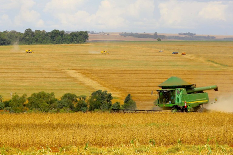 Preços da terra para atividade agrícola seguem em alta no Brasil