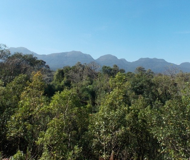 Legado das Águas: projeto prevê manutenção da floresta em pé