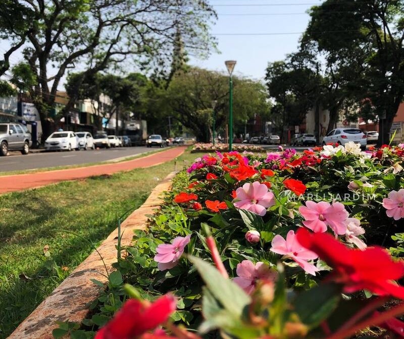 Tempo instável dá trégua e domingo será de sol e calor em Maringá