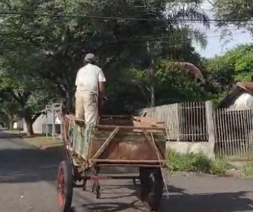 Em Sarandi, carroceiros têm até o dia 15 de abril para se adequar à nova legislação municipal