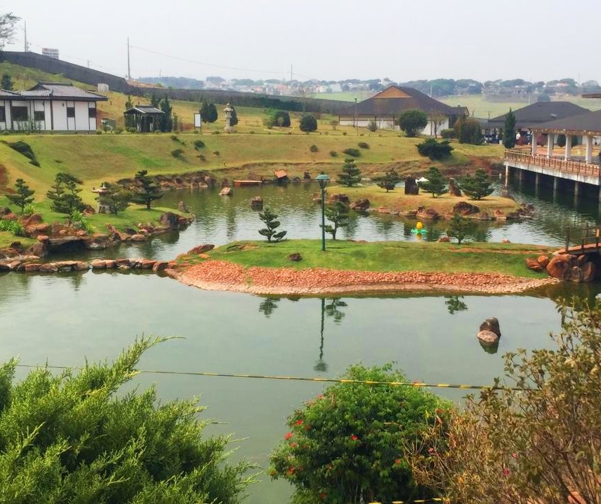 Depois de quase quatro meses, carpas voltam para o maior lago 