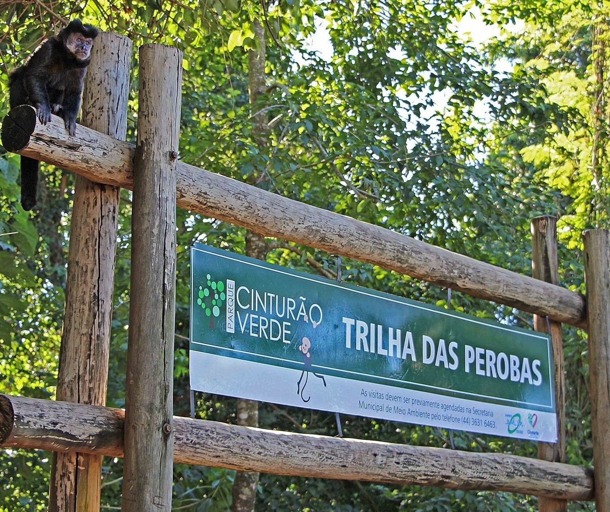 Ministério Público aciona Prefeitura de Cianorte para proteger Cinturão Verde