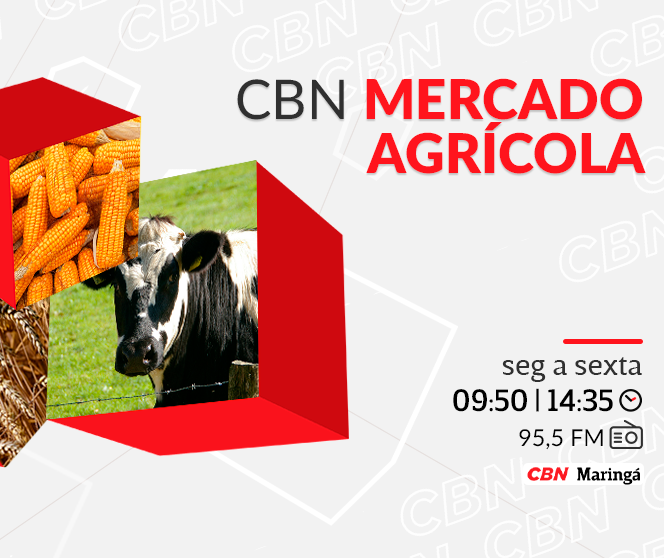 Soja custa R$ 115,00 por saca