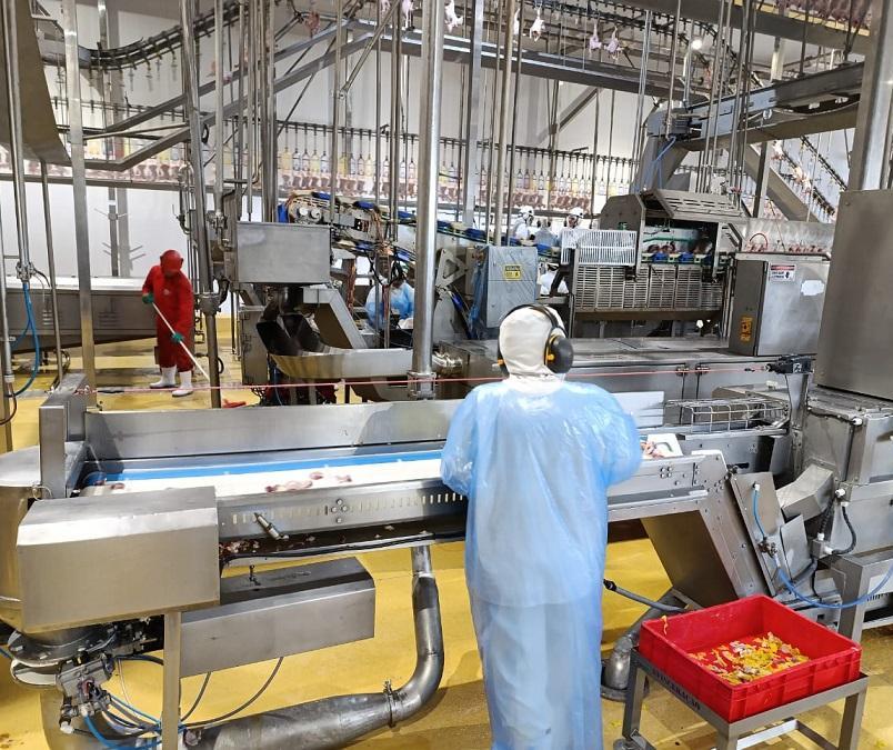 Operação Risco Oculto fiscaliza frigorífico no norte do Paraná