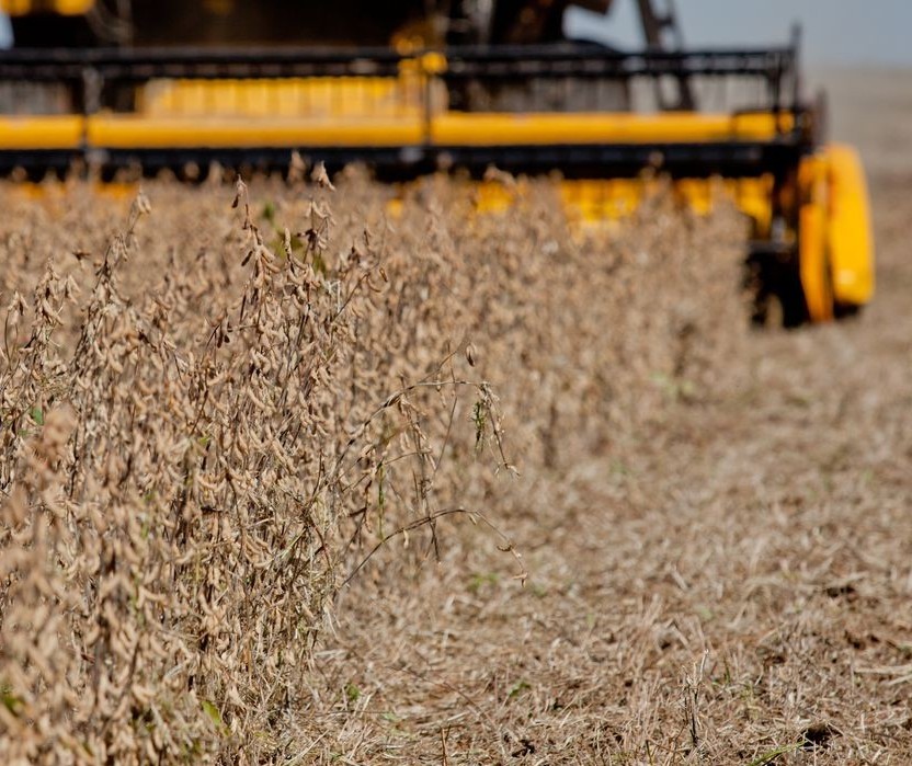 PIB do agro cresce 5,26% no 1º semestre, a maior alta para o período