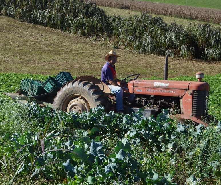 Produtores têm até dia 30 para aderir ao Funrural