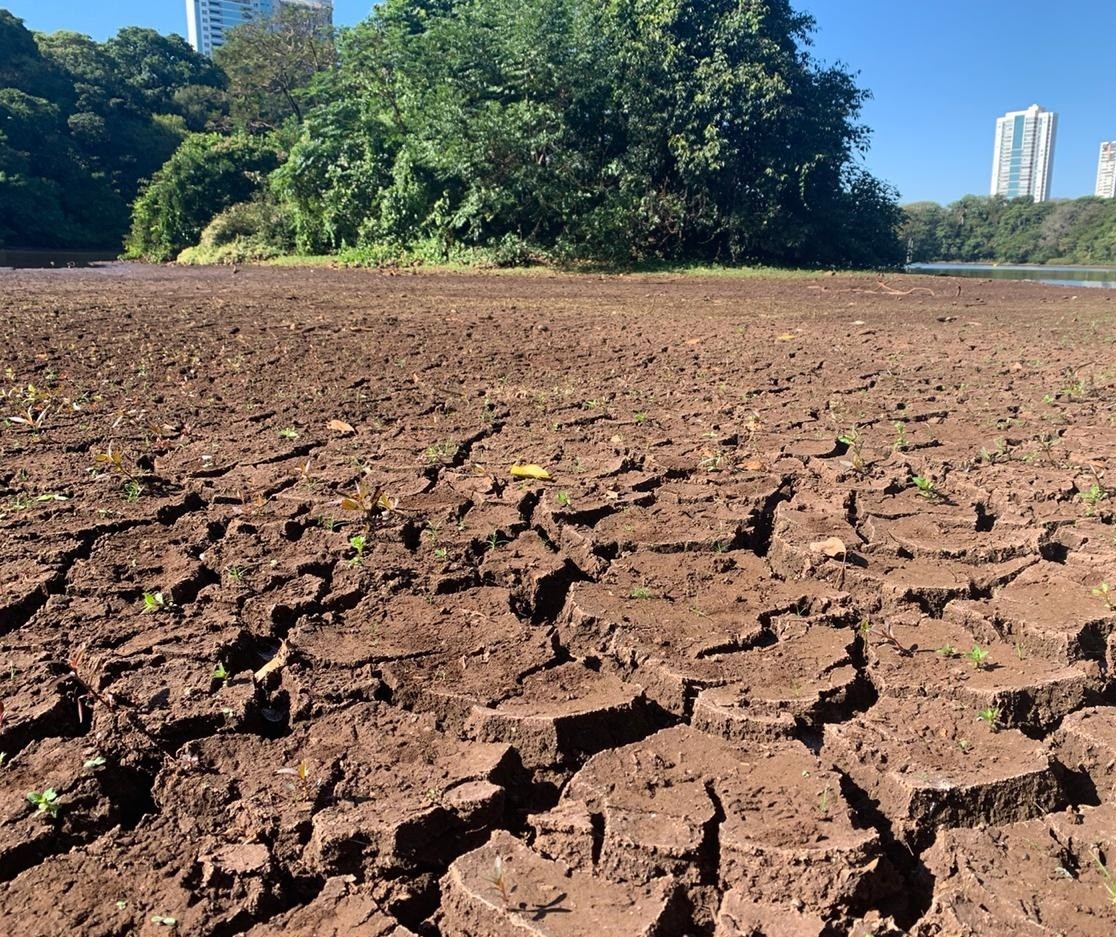 Vídeo: Seca permite atravessar lago do Parque do Ingá a pé