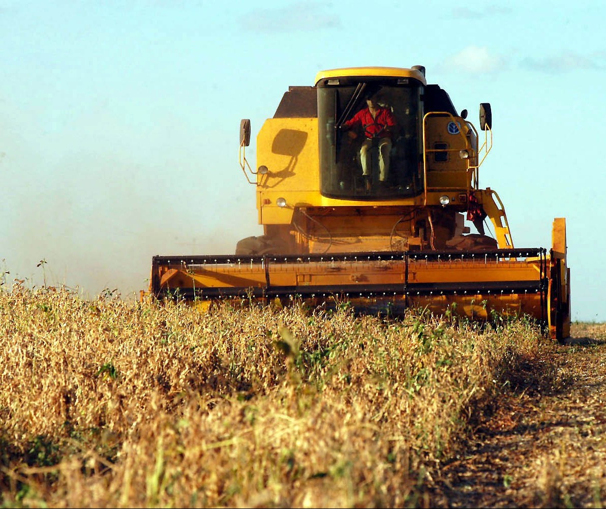 Colheita da soja alcança 10% da área plantada no Paraná