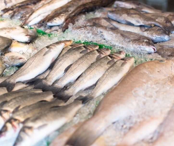 Pescados apresentam diferença de até 271% no preço em Maringá