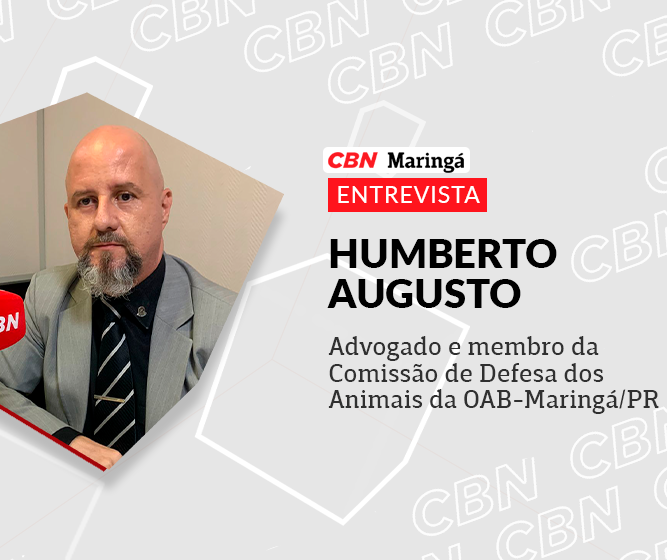 OAB Maringá faz campanha para arrecadar ração para cães e gatos