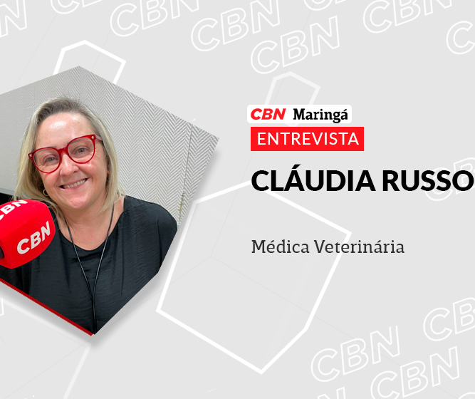 Aumento de casos de câncer em pets é consequência da longevidade