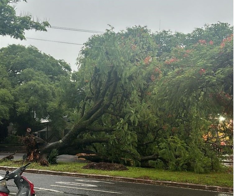 Volume de chuva ultrapassa média histórica em Maringá