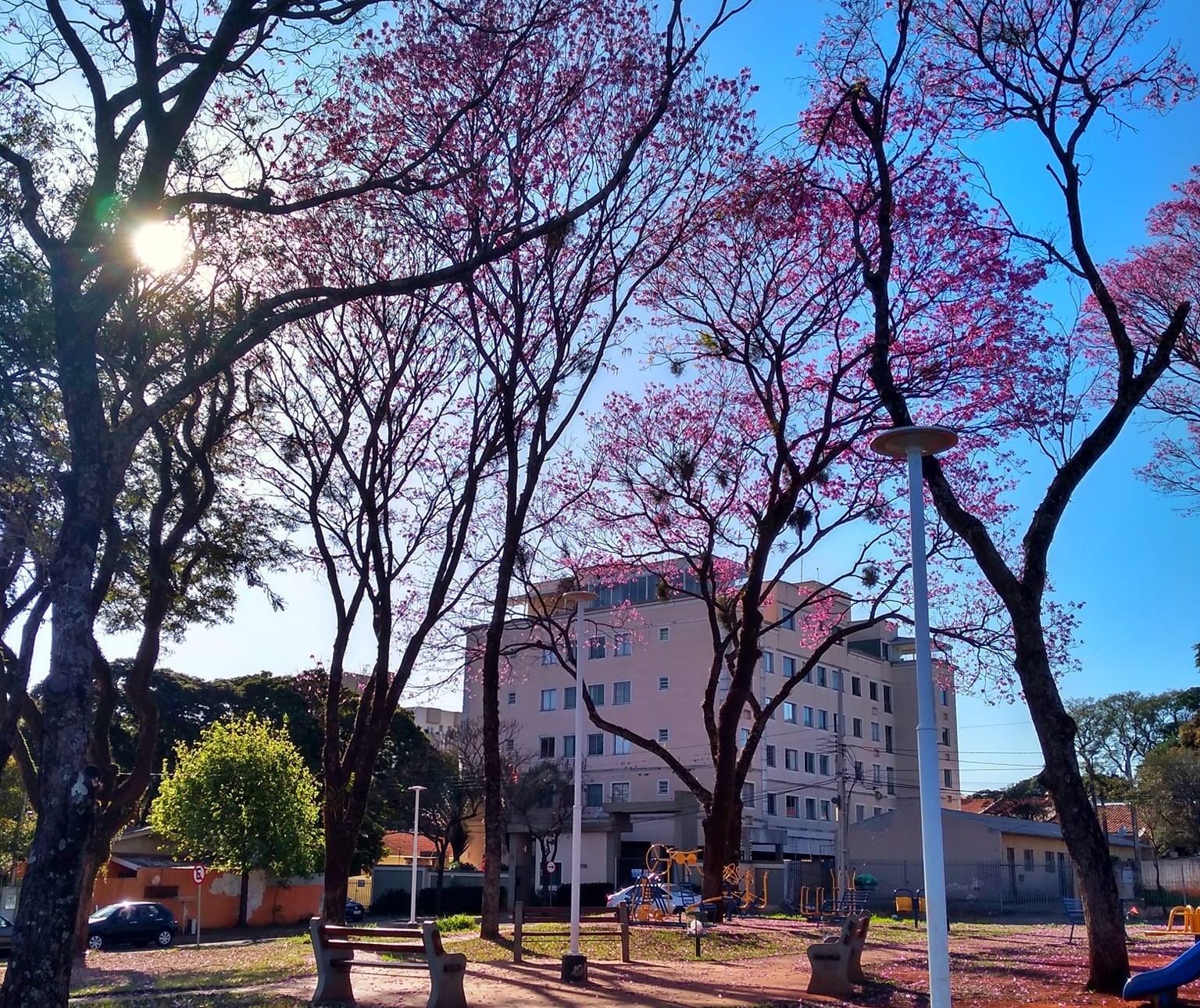 Semana começa com tempo seco e altas temperaturas em Maringá