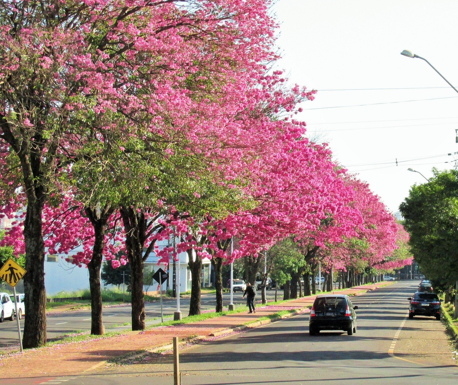 Maringá segue com temperaturas amenas nesta segunda-feira (15); veja previsão