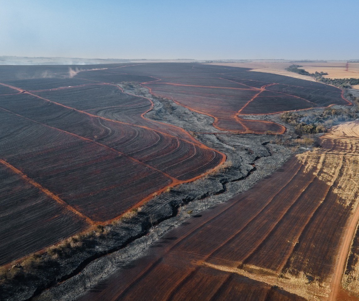 Incêndio de grandes proporções no noroeste é destaque do CBN Paraná