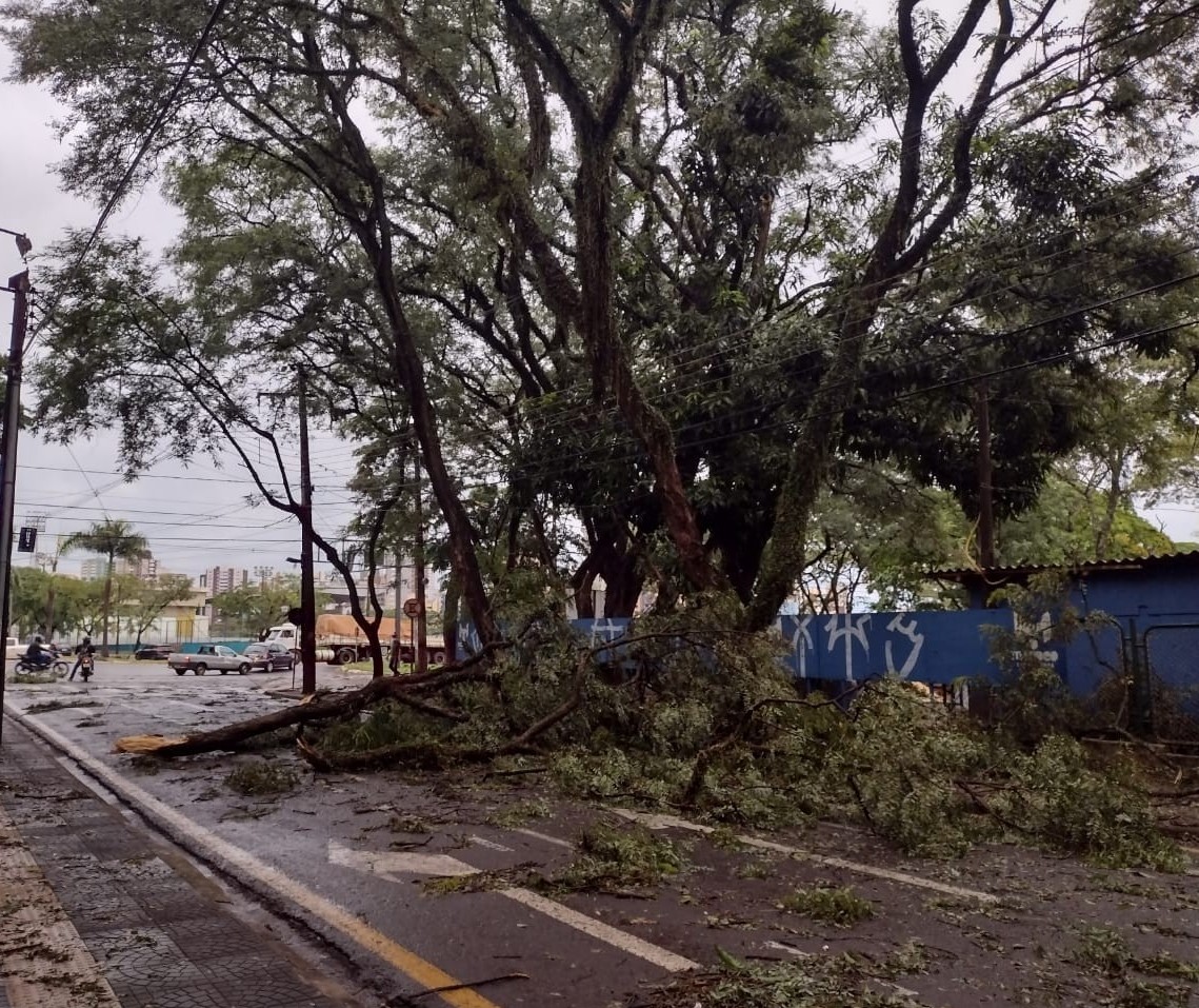 Copel tem plano de contingência para eventos climáticos extremos, diz superintendente